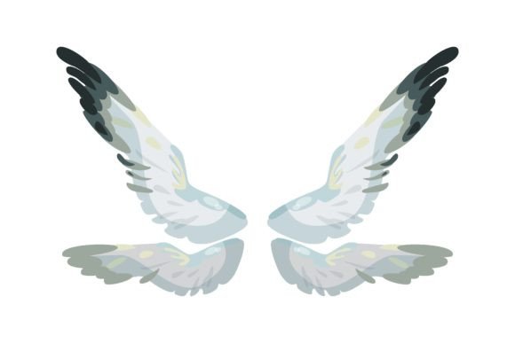 Colorful Magical Wings Isolated on White
