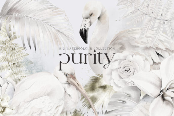 Discover the Purity Ultimate Collection: Where Nature's Elegance Meets Modern Creativity