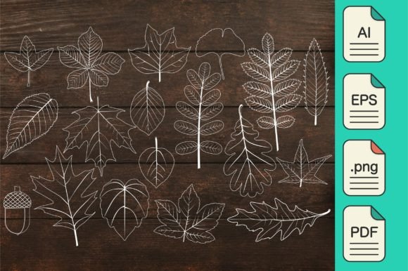 Fall Leaf Outline Sketch Autumn Decorate