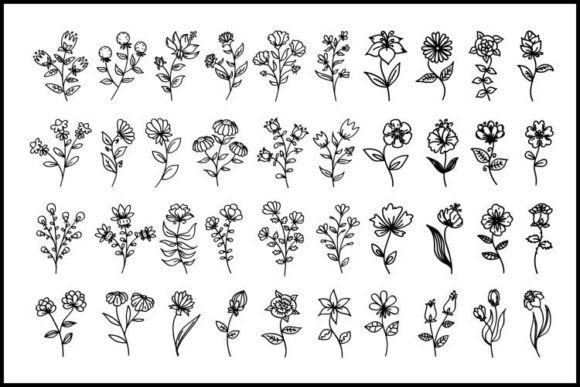 Floral Set: A Comprehensive Evaluation of the Black Outline Collection