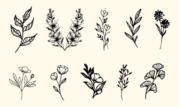 Hand Drawing Flower Line Art Set Vector for Designers