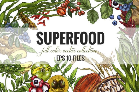 Superfood. Vector Graphics Collection