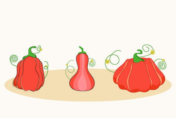 Vector Set of Orange Pumpkins